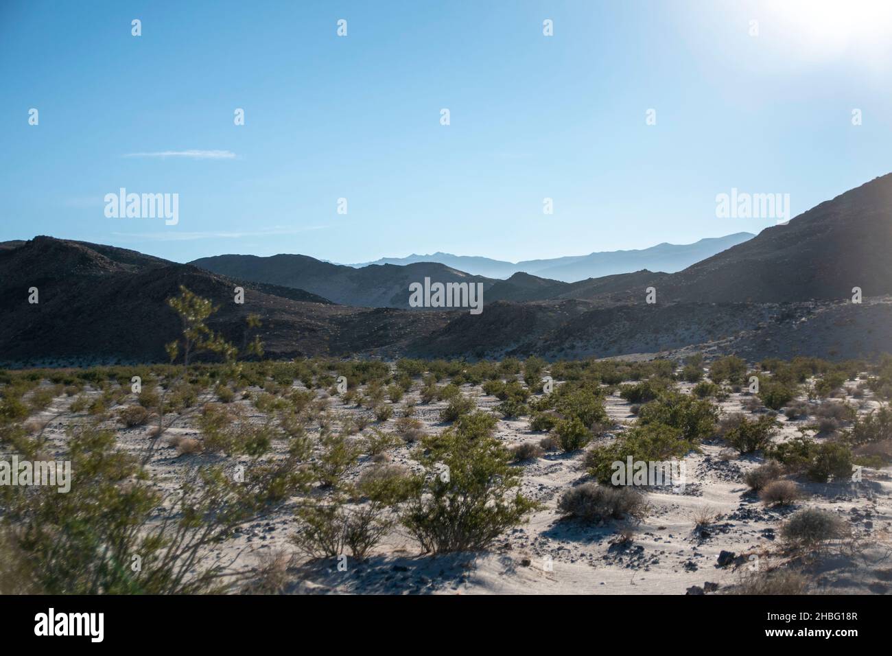 Das Panamint Valley im Death Valley National Park bietet viele interessante Sehenswürdigkeiten, wie rostige Skelette von Autos und die seltene Pfütze, die vom Regen übrig geblieben ist. Stockfoto