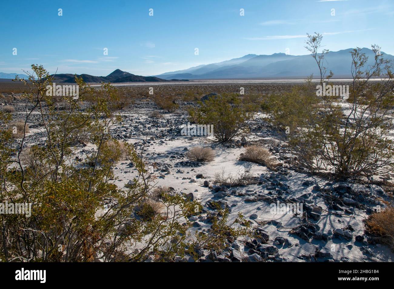 Das Panamint Valley im Death Valley National Park bietet viele interessante Sehenswürdigkeiten, wie rostige Skelette von Autos und die seltene Pfütze, die vom Regen übrig geblieben ist. Stockfoto