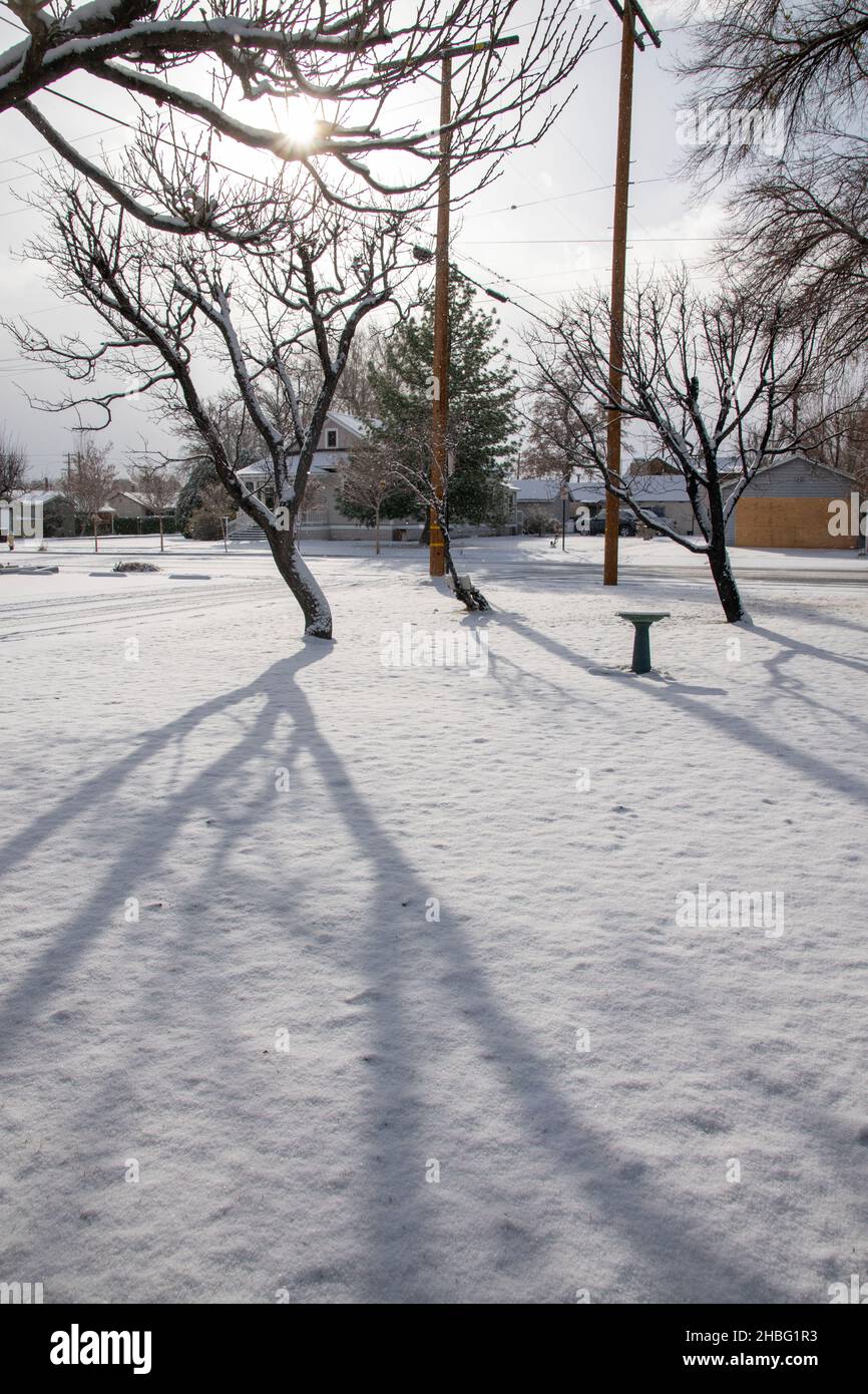 Wenn es in Bishop, Inyo County, CA, USA, schneit, wird die Stadt noch schöner als zuvor. Stockfoto