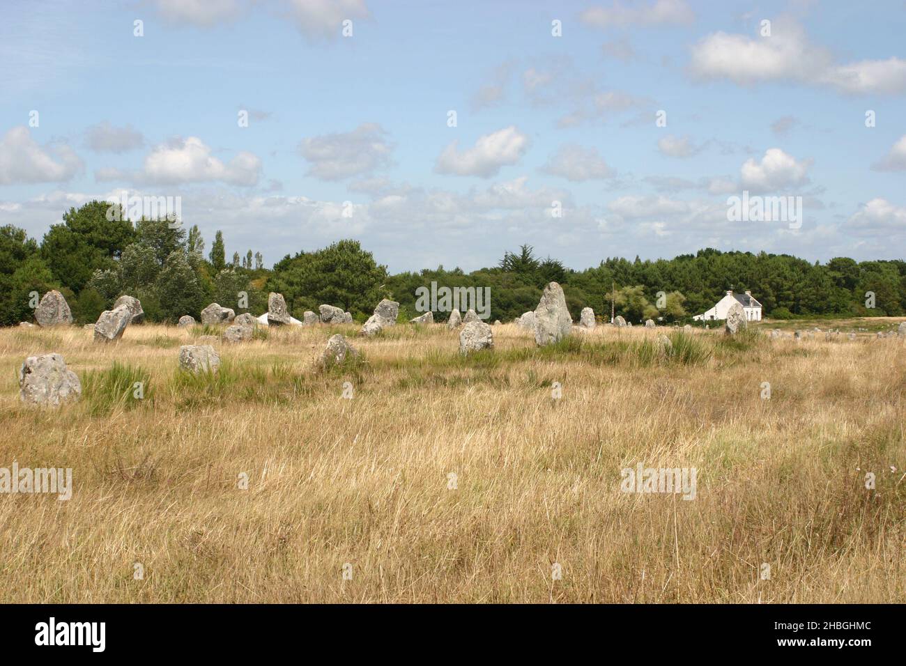 Ländliches Feld mit einer Gruppe von aufrechten Monolithen oder großen Steinen Stockfoto