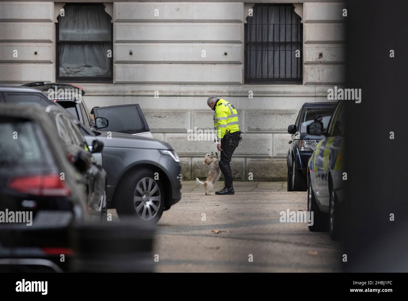 Diyln, der britische Premierminister Boris Johnson und Carrie Symonds Haustierhund werden von einem der Polizeiführer auf der Rückseite der No.10 Downing St. aufmerksam Stockfoto