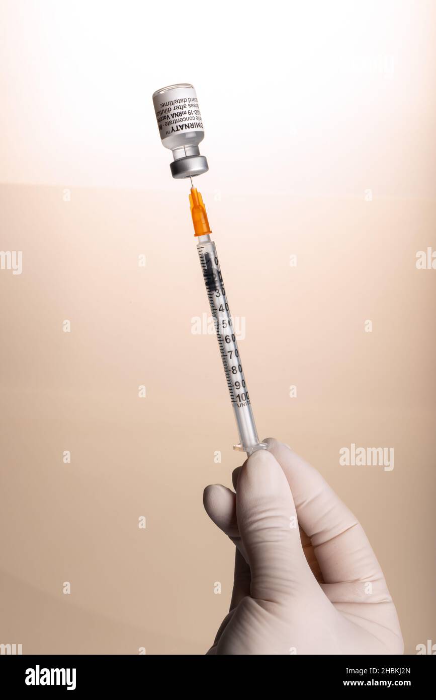 Turin, Italien - 18. Dezember 2021: Pfizer-BioNTech COVID-19-Impfstoff Comirnaty-Fläschchen, Hand mit Latexhandschuh und Spritze, die die Impfdosis aus dem Fläschchen zieht Stockfoto