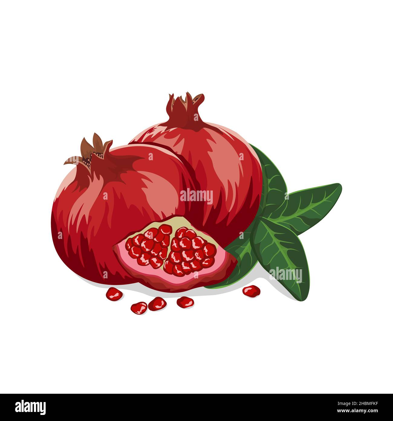 Ganzer Granatapfel mit der Hälfte, Blätter isoliert auf weißem Hintergrund. Vektordarstellung... Stock Vektor