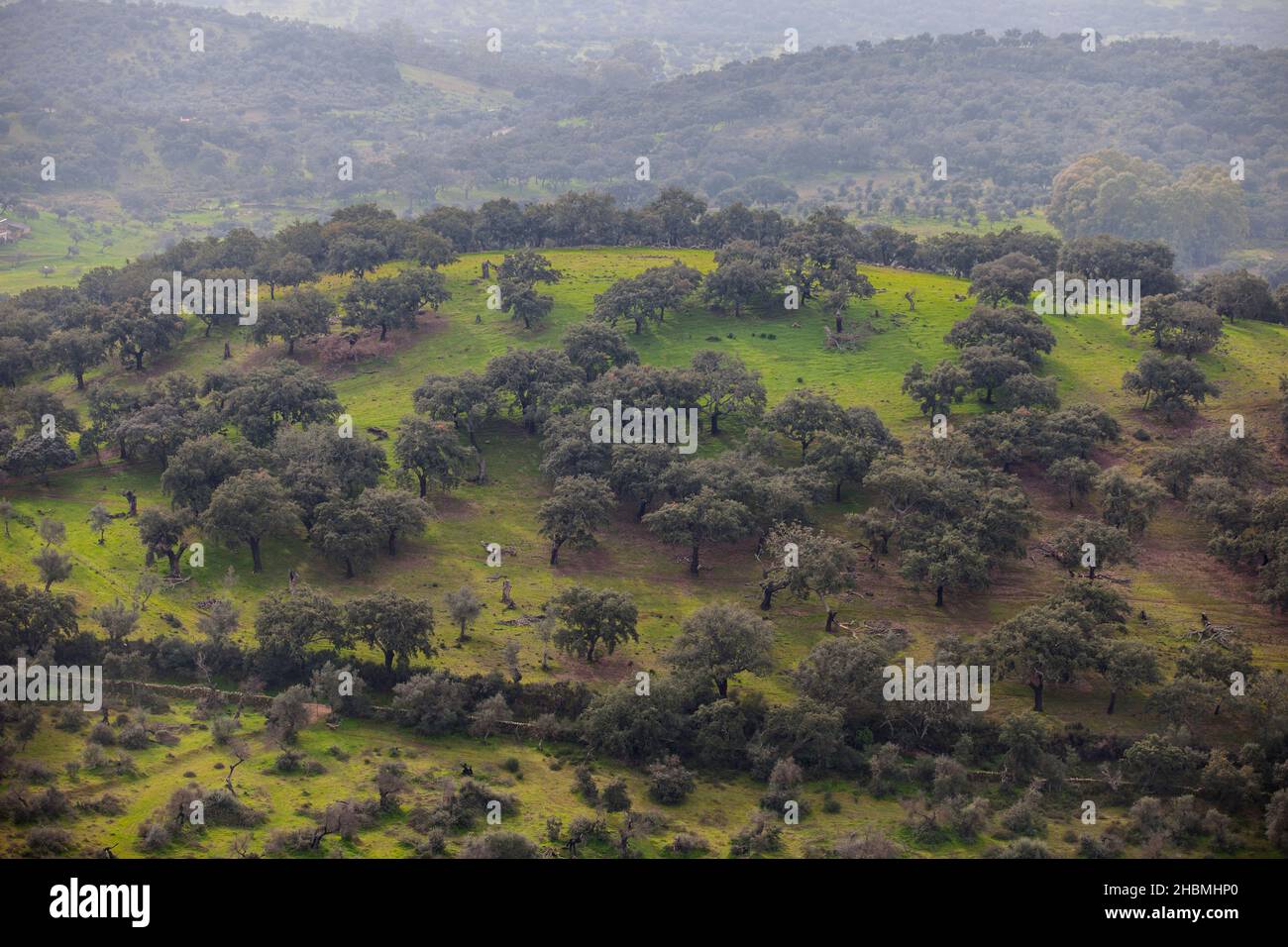 Sierra de San Pedro dehesas, Alburquerque, Extremadura, Spanien. Blick von San Blas Craig Stockfoto