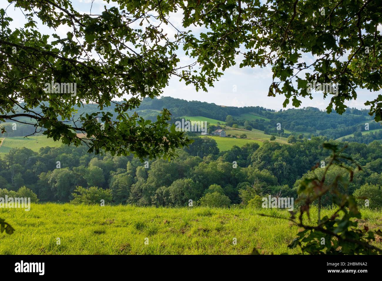 Ein typischer Blick auf die Landschaft im Südwesten Frankreichs auf dem Jakobsweg, aufgenommen an einem sonnigen Sommermorgen, ohne Menschen Stockfoto