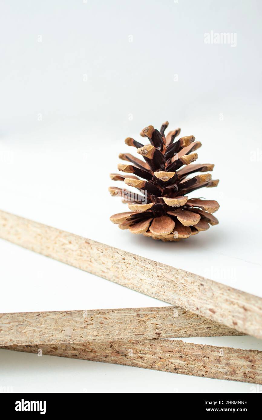 3 weiße Spanplatten mit einem Kiefernkegel auf der Oberseite Stockfoto