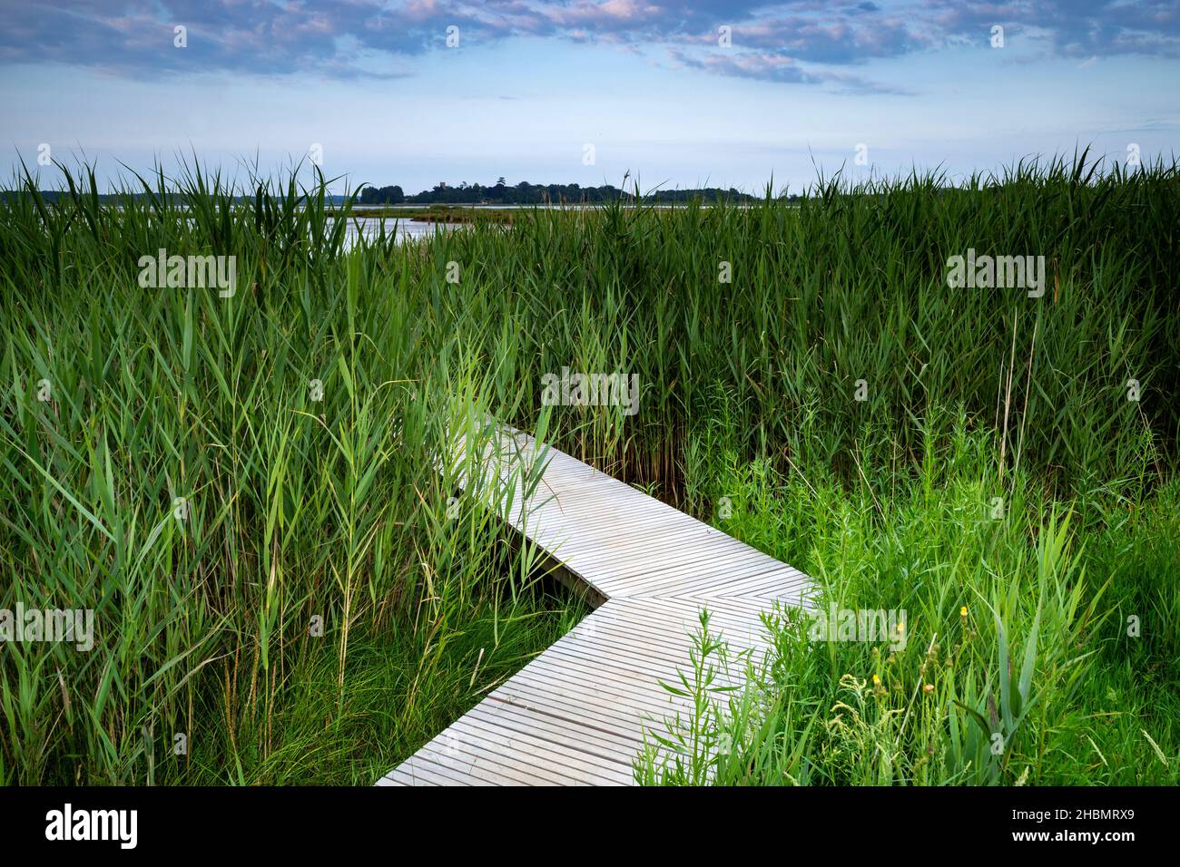 Erhöhte hölzerne breite Wanderung Iken Suffolk England Stockfoto