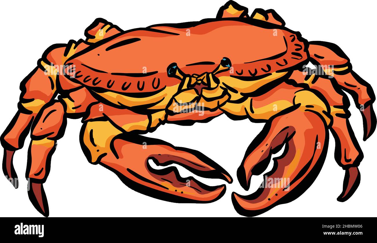 Cartoon Illustration Logo oder Maskottchen aus dem Tiefseefrabben-Hummerschwamm Stock Vektor