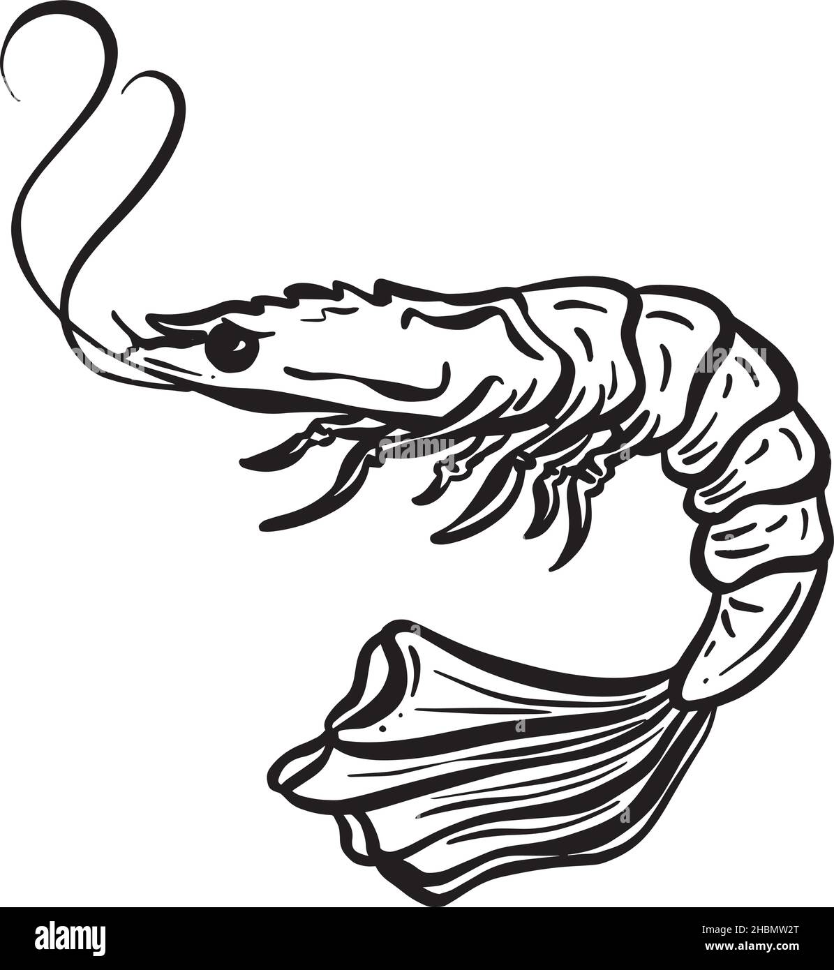 Cartoon Illustration Logo oder Maskottchen aus dem Tiefseefrabben-Hummerschwamm Stock Vektor