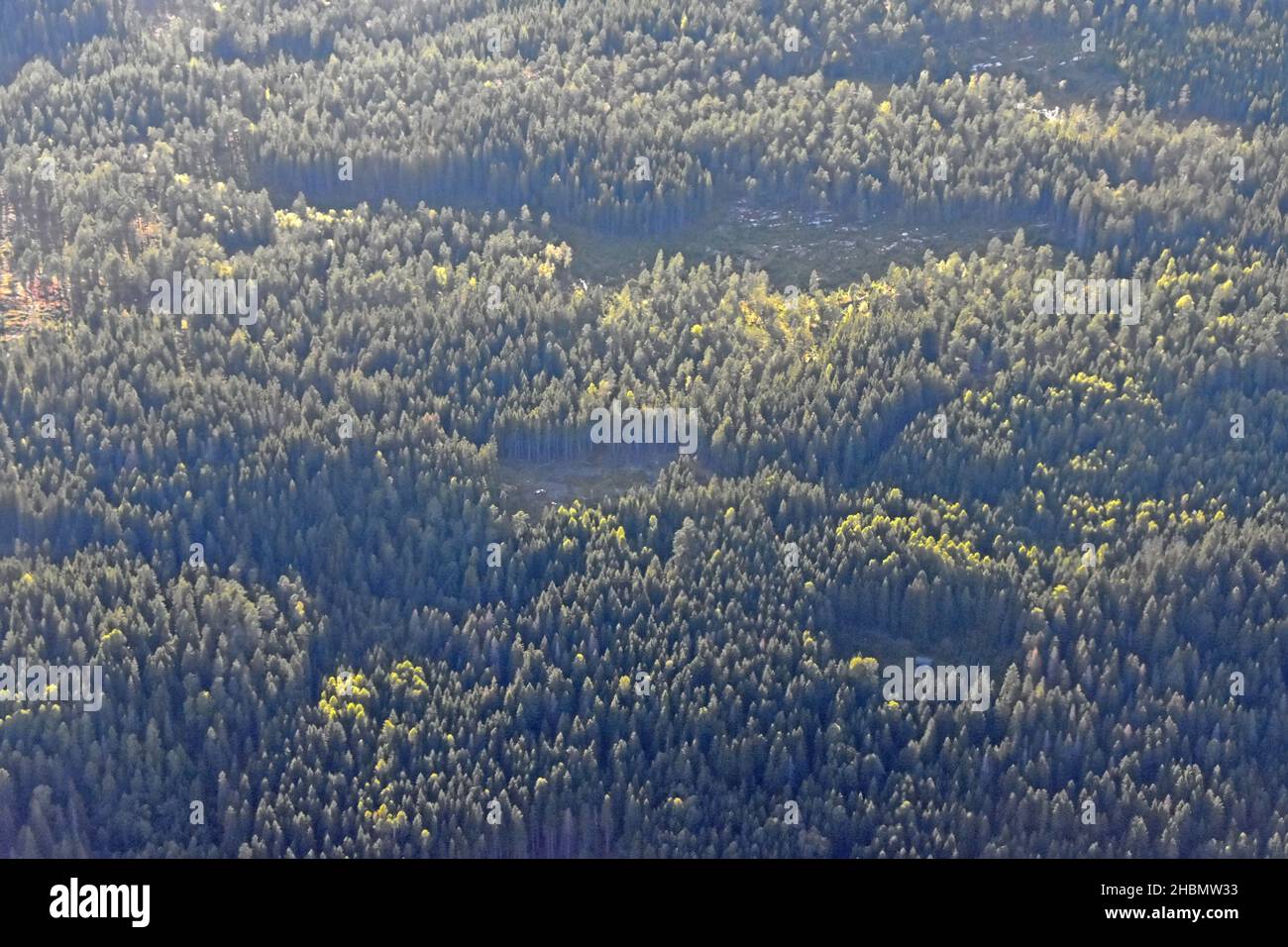 Luftaufnahme auf Wald in Norwegen Stockfoto