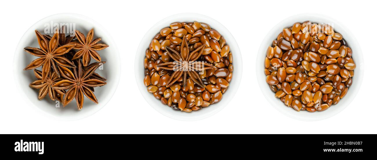 Sternanisfrüchte und Samen in weißen Schalen. Bekannt als Staranise, Sternanis oder Badian. Getrockneter, sternförmiger Perikarp und Samen von Illicium verum. Stockfoto
