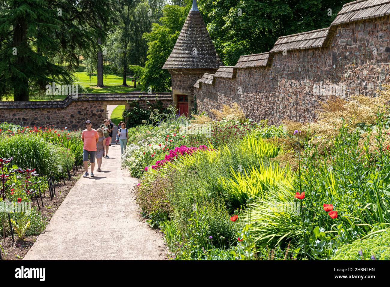 Besucher genießen die Sommergärten am Knightshayes Court in der Nähe von Tiverton, Devon, Großbritannien Stockfoto