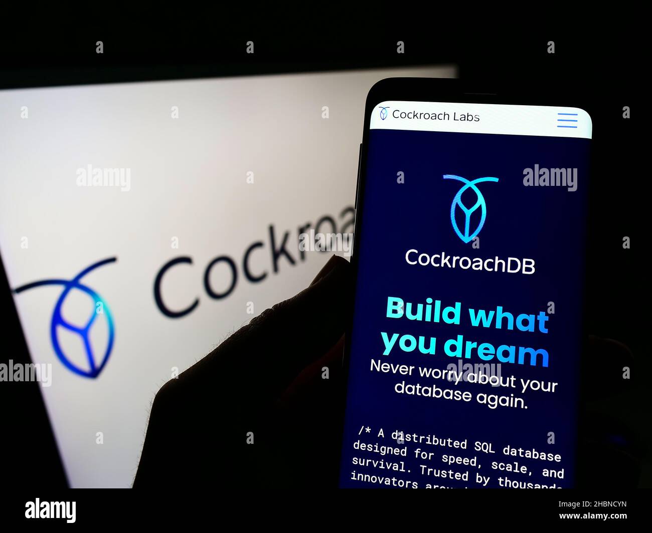 Person, die Smartphone mit Website der US-SQL-Datenbank-Firma Cockroach Labs Inc. Auf dem Bildschirm vor dem Logo hält. Konzentrieren Sie sich auf die Mitte des Telefondisplays. Stockfoto