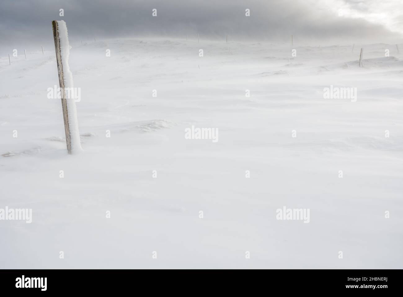 Schneesturm auf den Bergen in Winters. Vogesen, Frankreich, Europa. Stockfoto