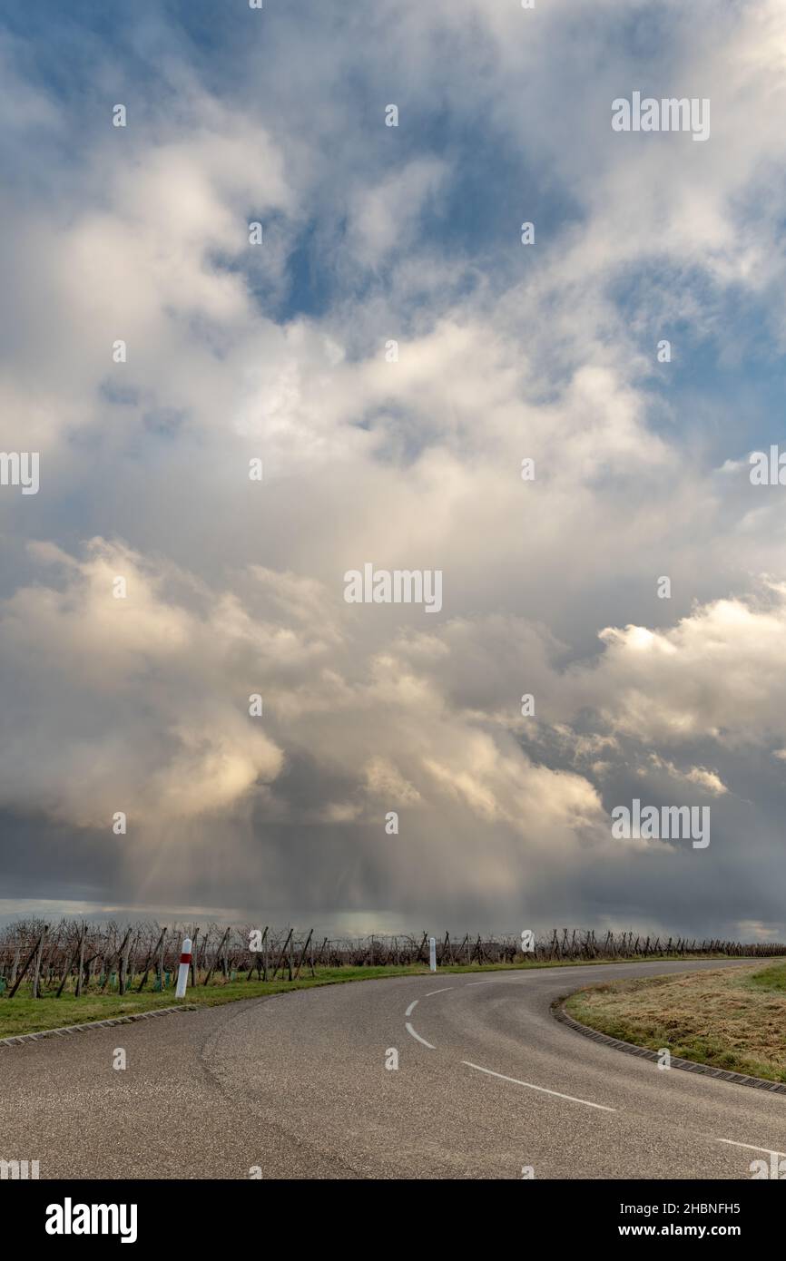 Regnerisches Wetter im Spätherbst. Weinstraße im Elsass. Stockfoto