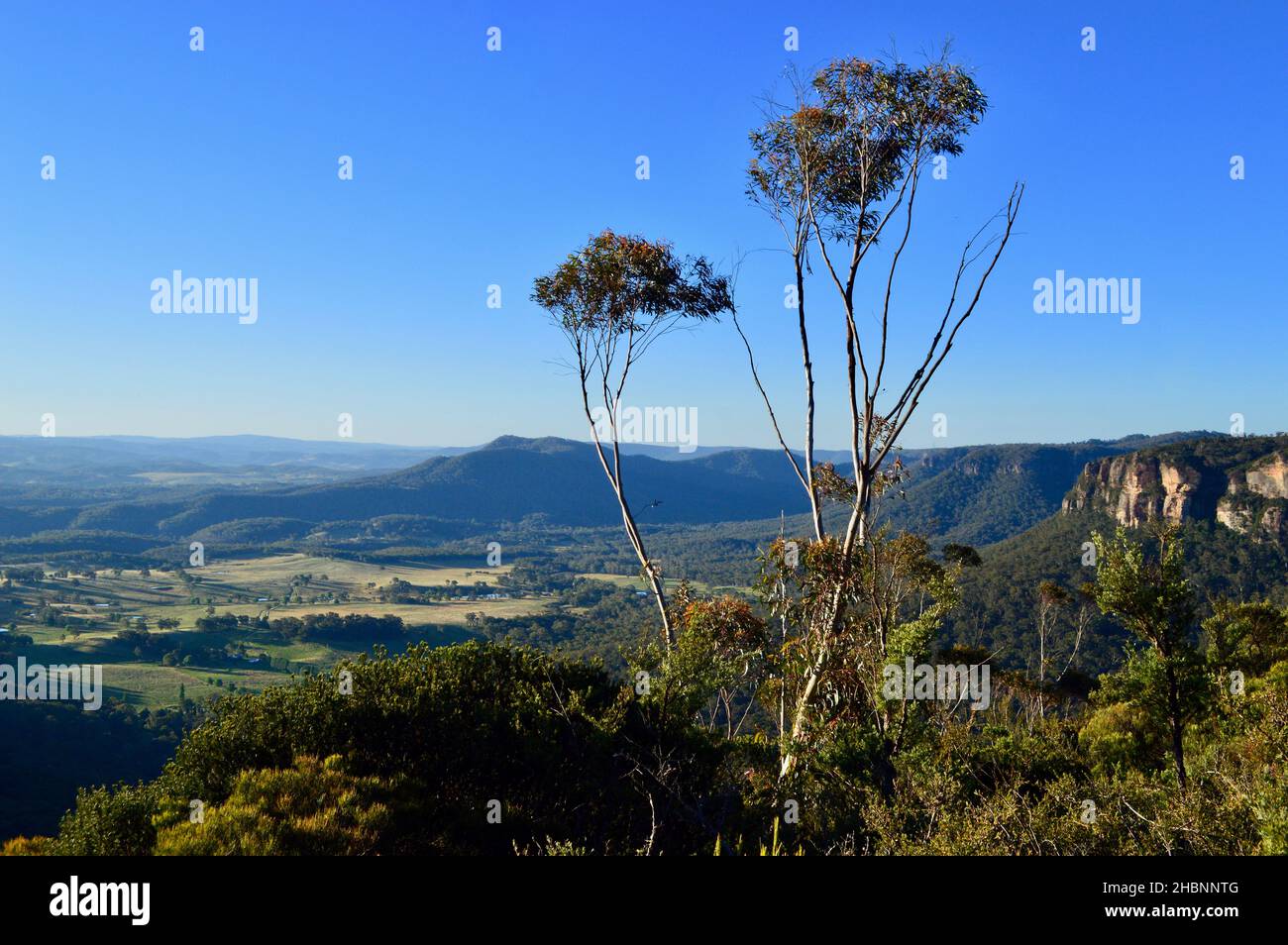 Blick ins Tal vom Shipley Plateau in den Blue Mountains von Australien Stockfoto