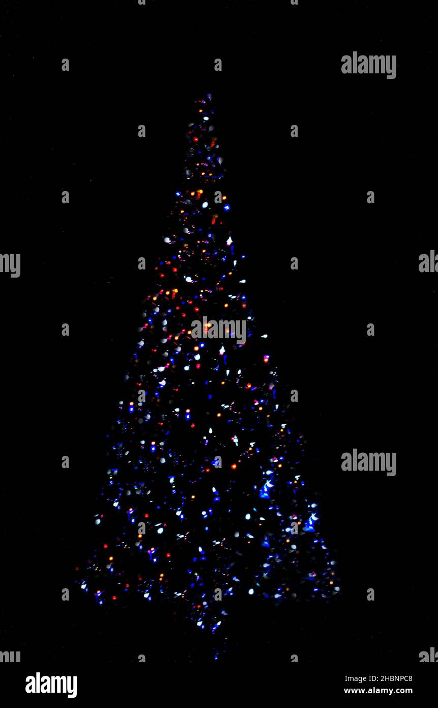 Weihnachtsbaum Stockfoto
