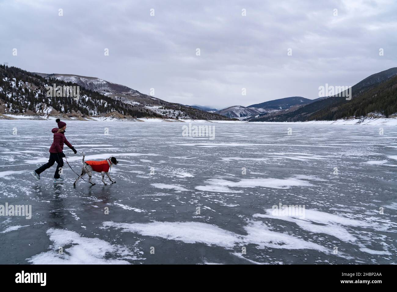 Frau Eislaufen mit Hund auf gefrorener Landschaft im Winter Stockfoto