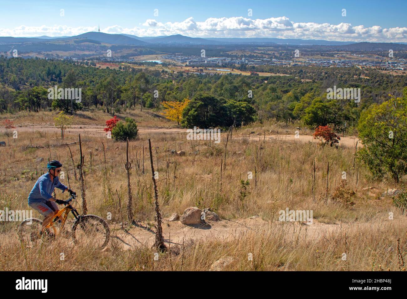 Mountainbiken auf Bobby Pin Climb bei Stromlo Stockfoto