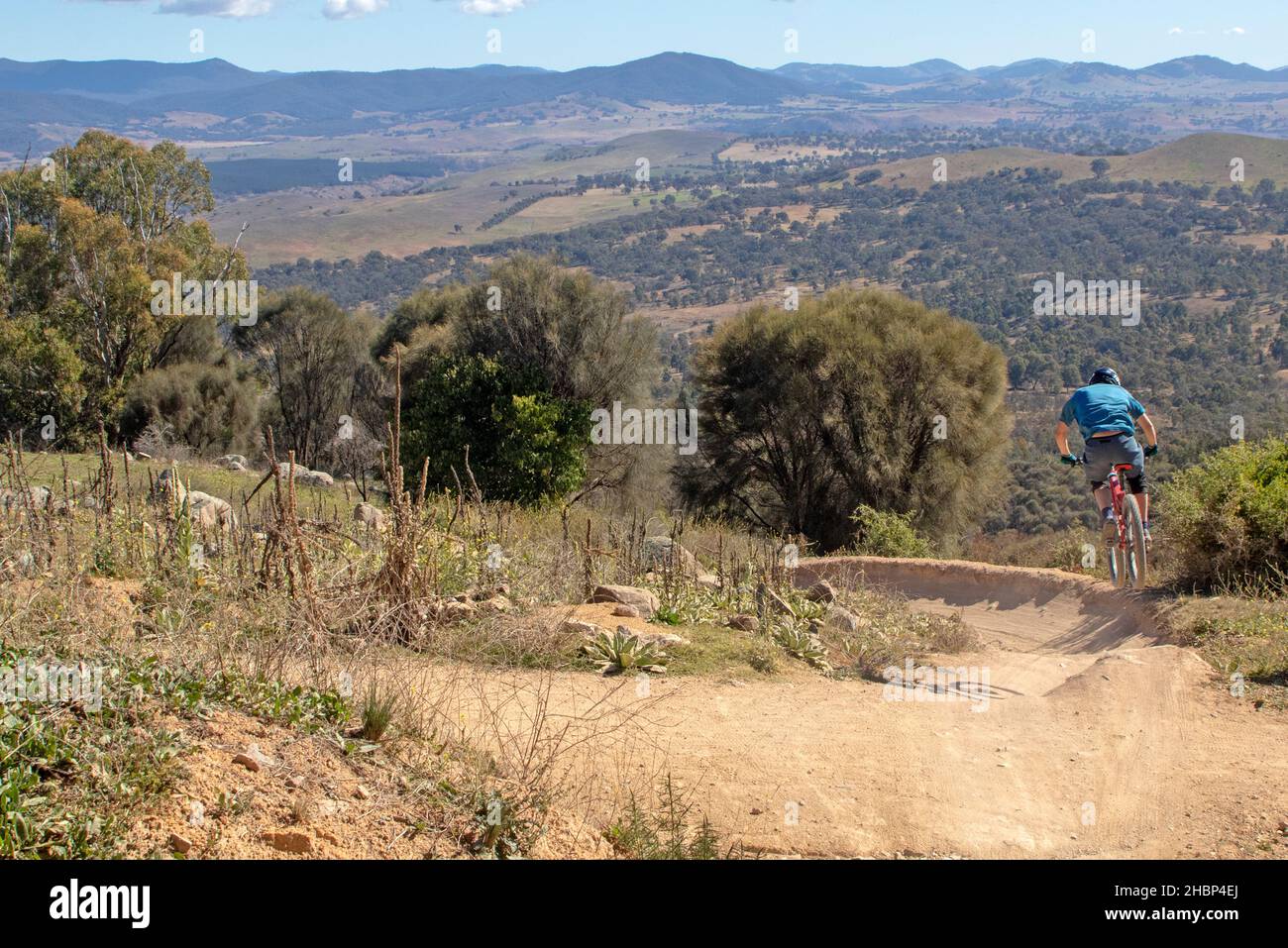 Mountainbiken auf Western Wedgetail Trail bei Stromlo Stockfoto