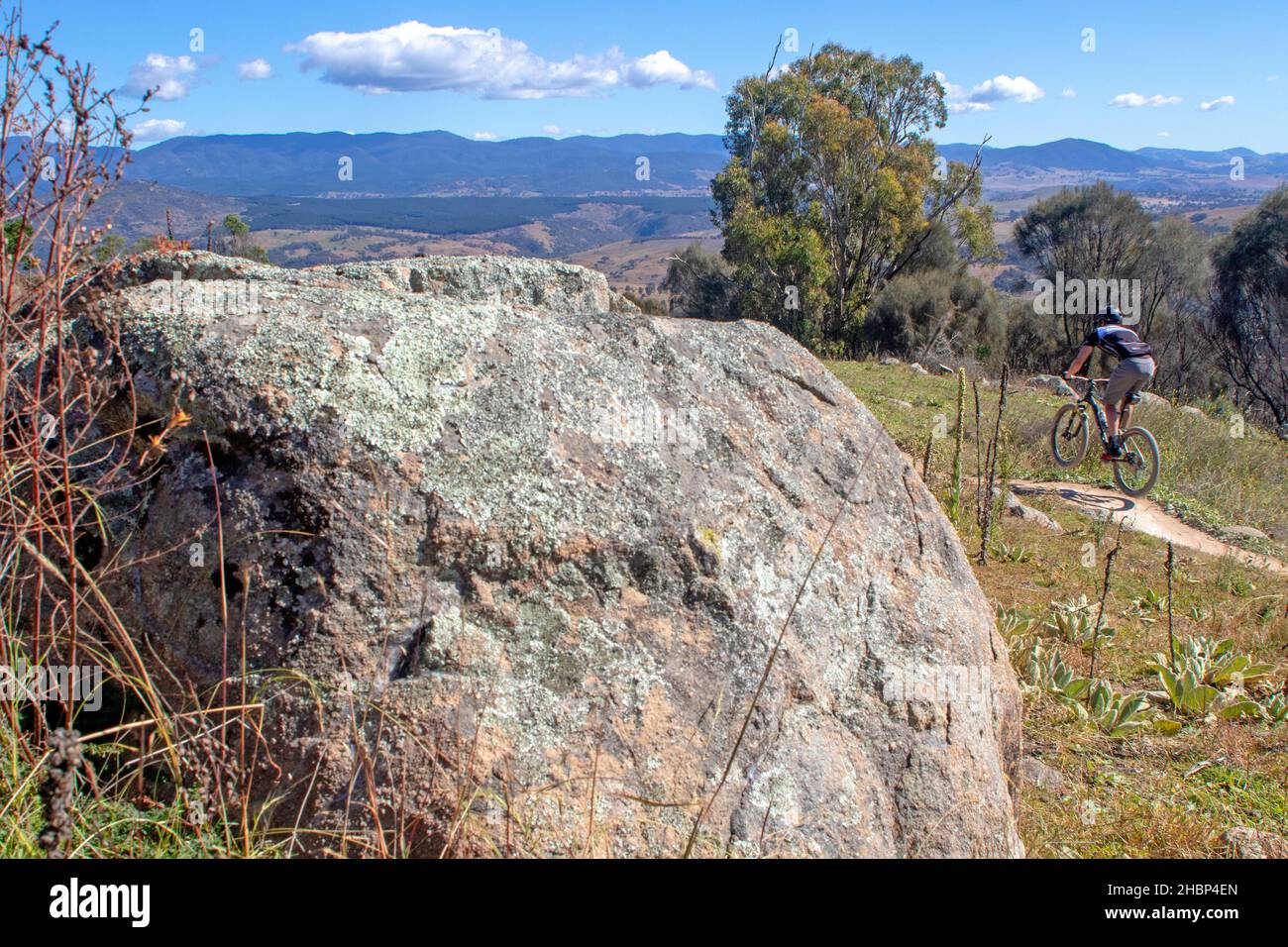 Mountainbiken auf Western Wedgetail Trail bei Stromlo Stockfoto