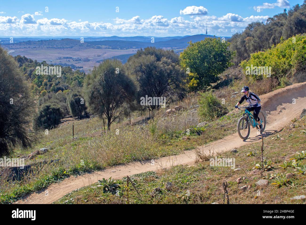 Mountainbiken auf Western Wedgetail Trail bei Stromlo Stockfoto