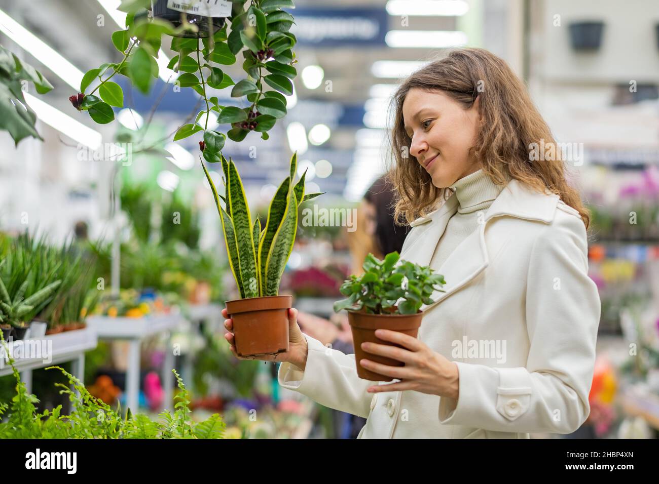 Schöne europäische Frau im weißen Mantel wählt zwischen zwei Zimmerpflanzen im Blumenladen Stockfoto