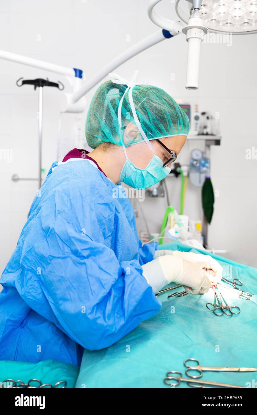Nahaufnahme eines weiblichen Chirurgen, der sterile Kleidung trägt und im Operationssaal operiert. Hochwertige Fotografie Stockfoto