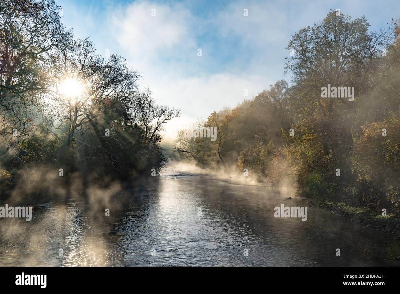 Herbstfarben und Nebel entlang des Tuplehocken Creek. Stockfoto