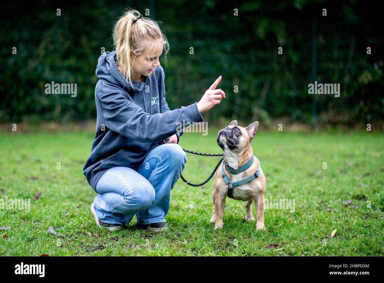 Oldenburg, Deutschland. 16th Dez 2021. Jaymee, Mitarbeiter im Tierheim Oldenburg, kümmert sich um den Hund 'Bosco', eine französische Bulldogge. Tiere eignen sich nicht als spontanes Weihnachtsgeschenk - Tierschutzorganisationen weisen darauf hin. Einige Tierheime schließen daher vor den Ferien ihre Türen für Interessenten. Quelle: Hauke-Christian Dittrich/dpa/Alamy Live News Stockfoto