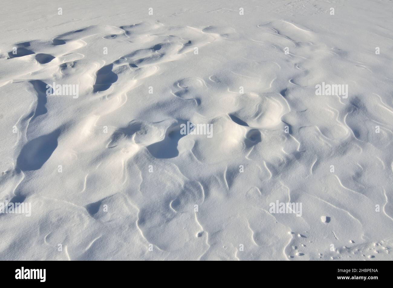 Wind schuf Muster auf der Oberfläche von Schnee - abstrakter Winter verschneiten Hintergrund. Stockfoto