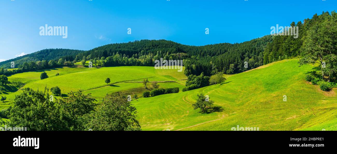 Deutschland, XXL Panoramablick Naturlandschaft Schwarzwald Ferienregion am Waldrand im Sommer mit Bäumen und blauem Himmel Stockfoto