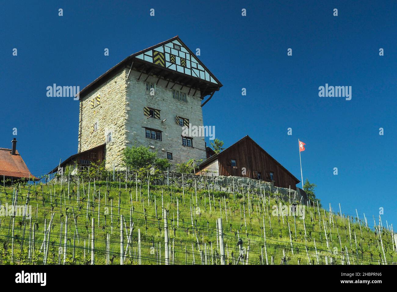 Schloss Neu Altstätten SG Stockfoto