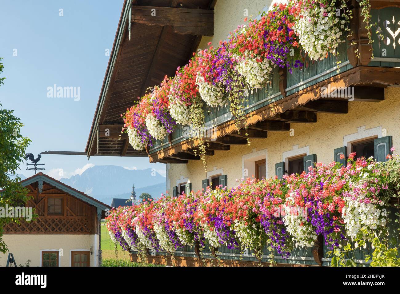 Ein Bauernhaus mit herrlichem Blumenschmuck in Öd, GMD. Teisendorf, Rupertiwinkel, Berchtesgadener Land, Bayernim Hintergrund die Kirche St. Larentiu Stockfoto