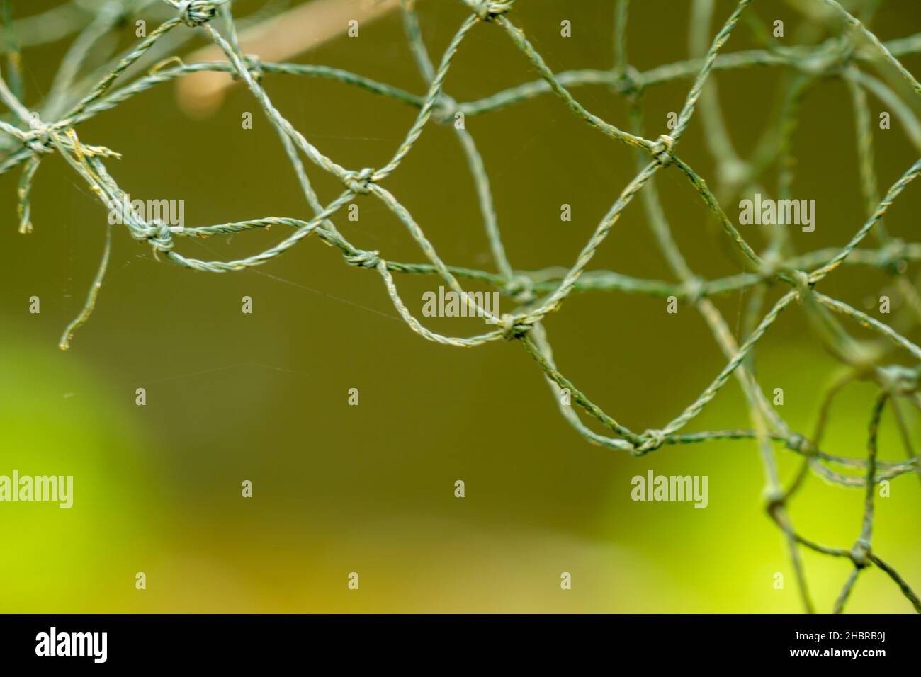 Das Netz besteht aus weiß-grünem Kunststoff, es wurde verwendet, der Hintergrund der grünen Blätter ist verschwommen Stockfoto