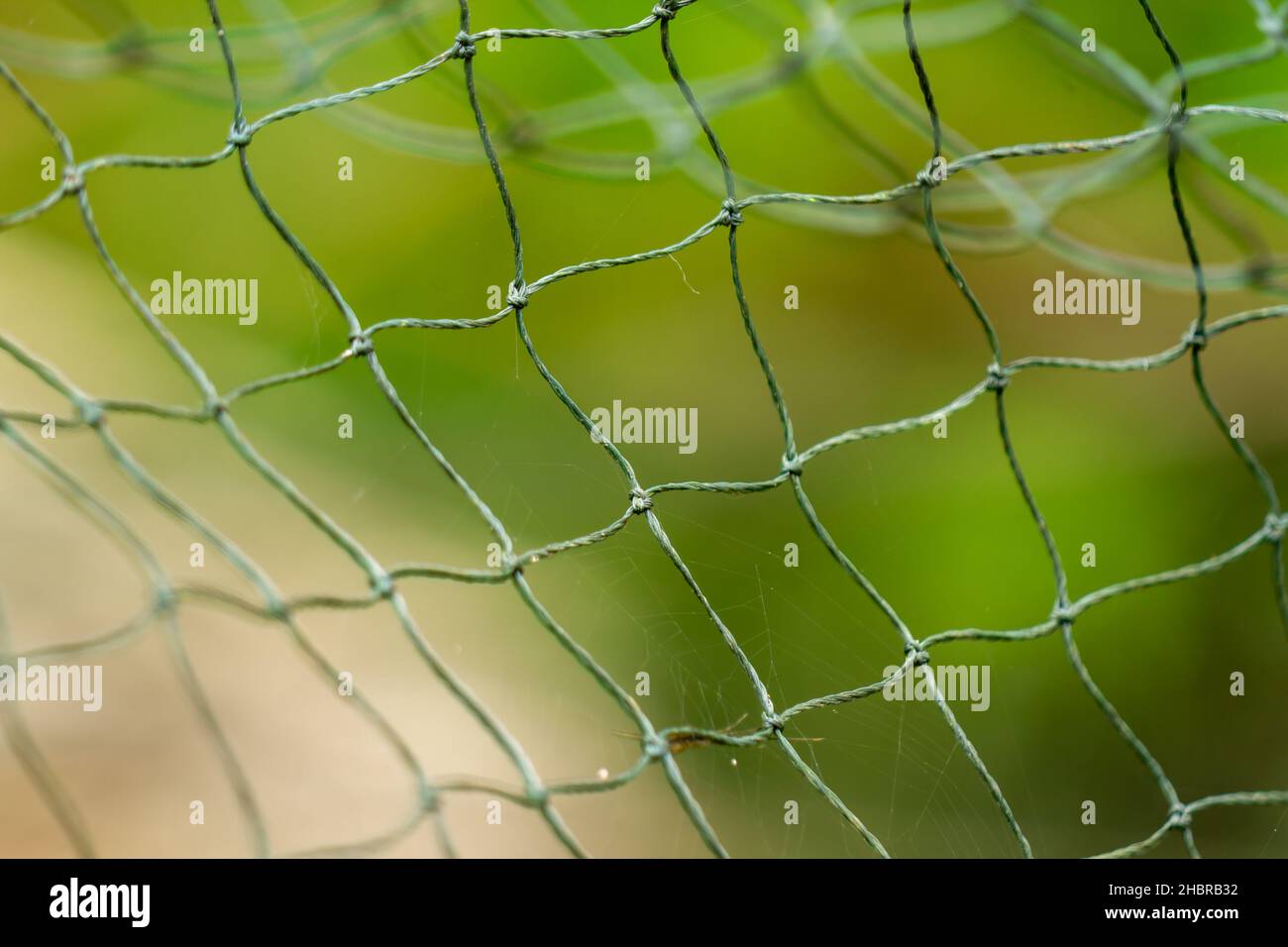 Das Netz besteht aus weiß-grünem Kunststoff, es wurde verwendet, der Hintergrund der grünen Blätter ist verschwommen Stockfoto