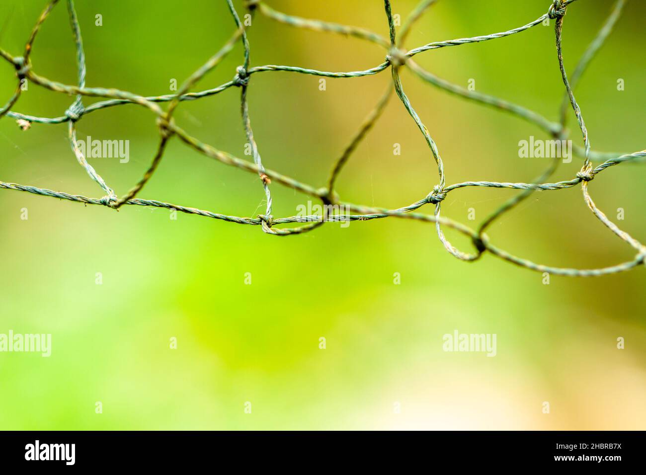 Das Netz besteht aus weiß-grünem Kunststoff, es wurde verwendet, der Hintergrund der grünen Blätter ist verschwommen Stockfoto