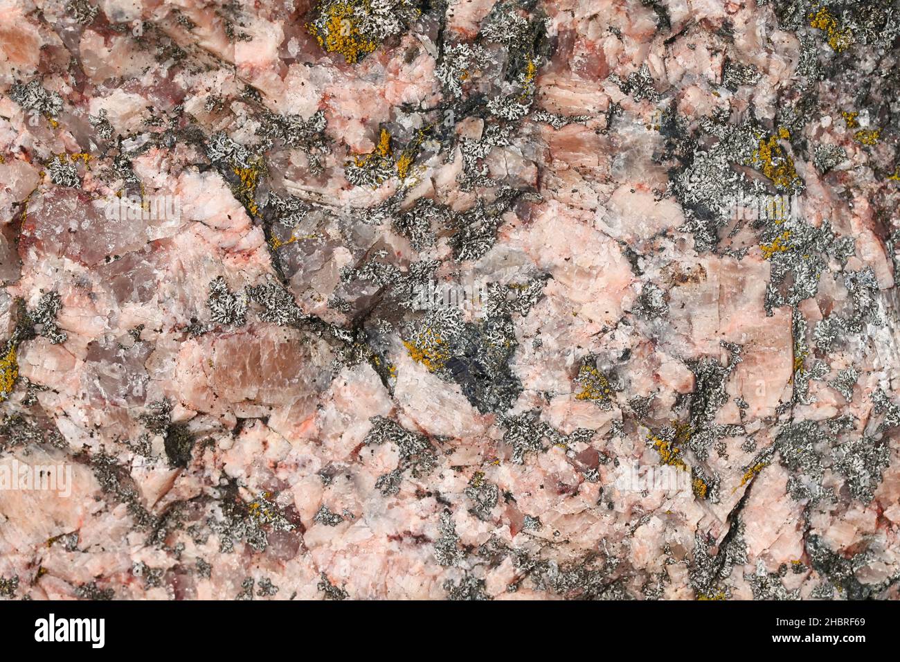 Roter Granit, der hauptsächlich aus rosa orthoclase Feldspat und farblosen Quarzen besteht, einem weit verbreiteten Baustein und Baumaterial Stockfoto