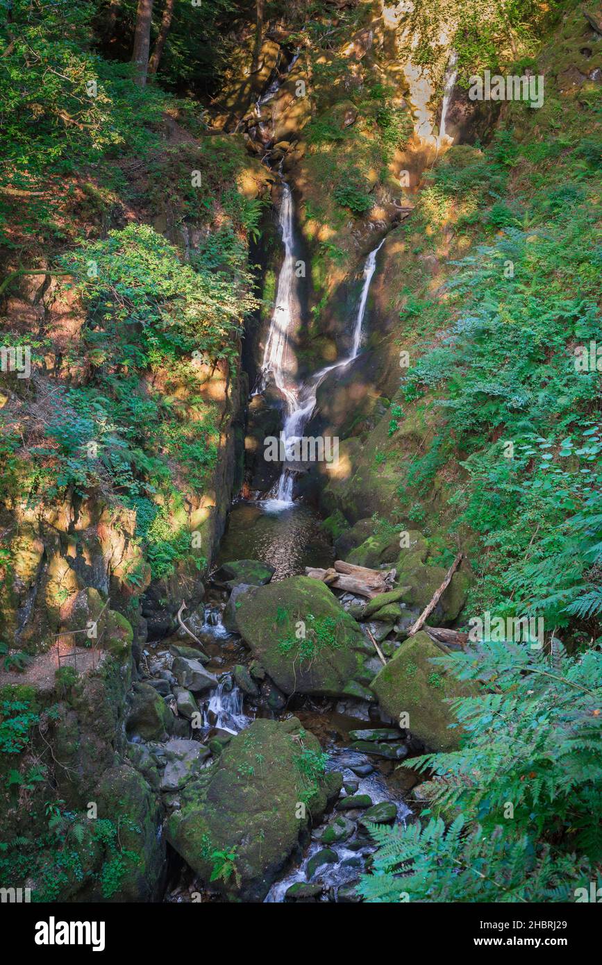 Stock Ghyll Ambleside, Blick auf Stock Ghyll, ein Seenlandschaft, der durch Wälder oberhalb von Ambleside fließt und durch die Stadt Cumbria, Großbritannien, fließt Stockfoto