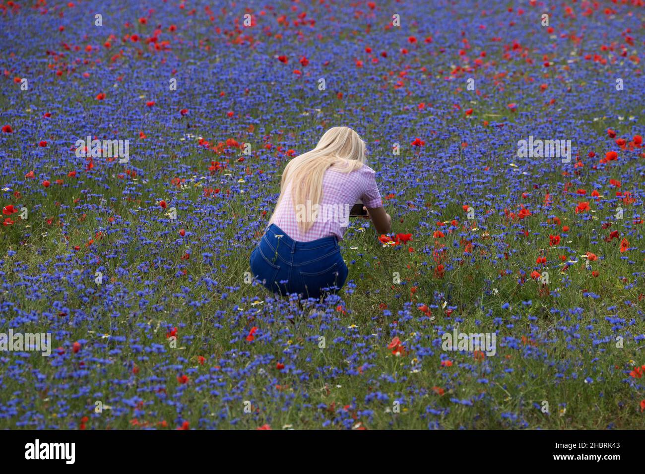 Touristen fotografieren den Nationalpark Monti Sibillini, Umbrien, Italien, Europa Stockfoto