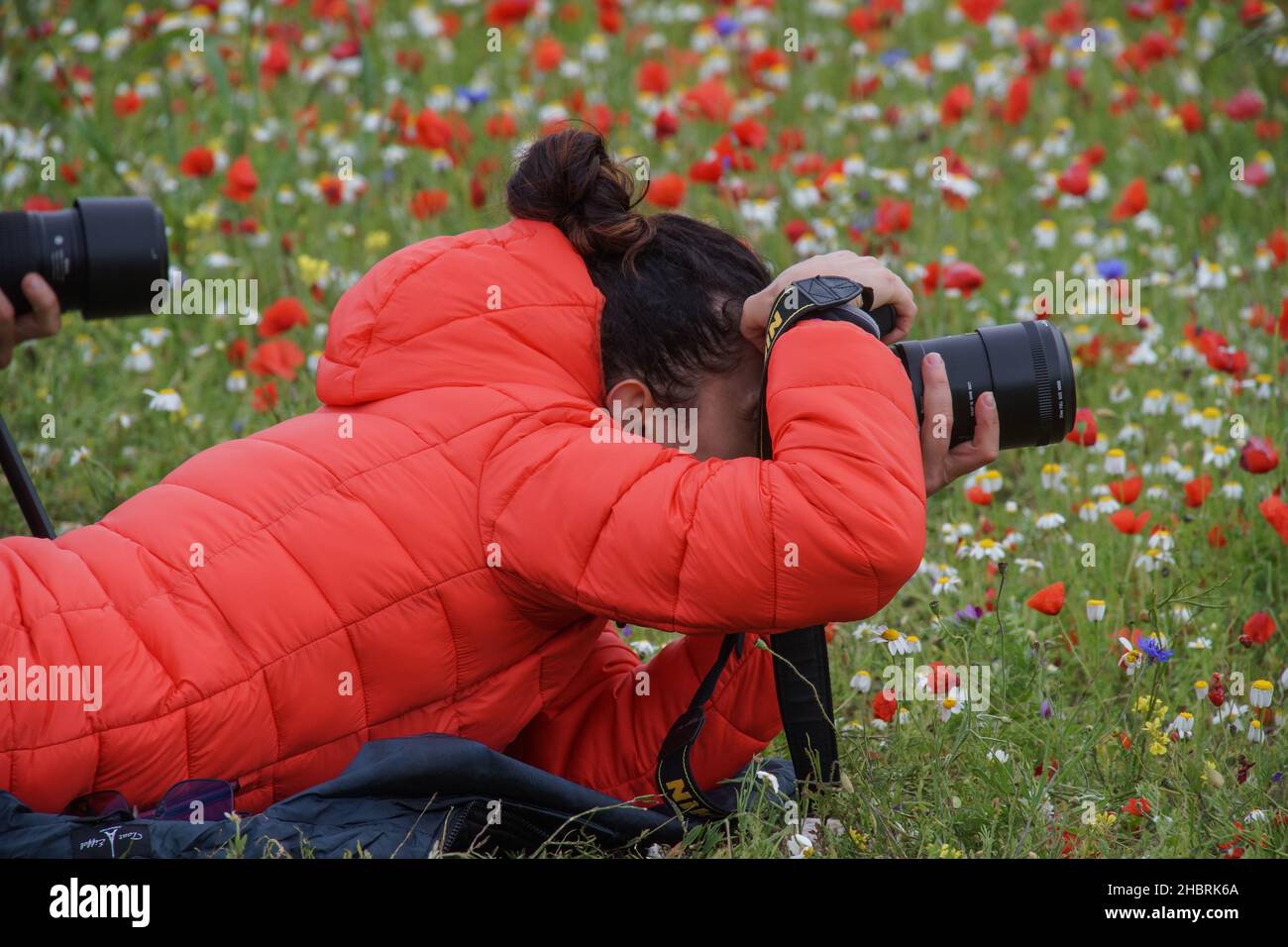 Touristen fotografieren den Nationalpark Monti Sibillini, Umbrien, Italien, Europa Stockfoto