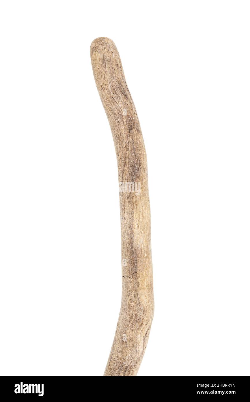 Teil aus Treibholz isoliert auf weißem Hintergrund. Stockfoto