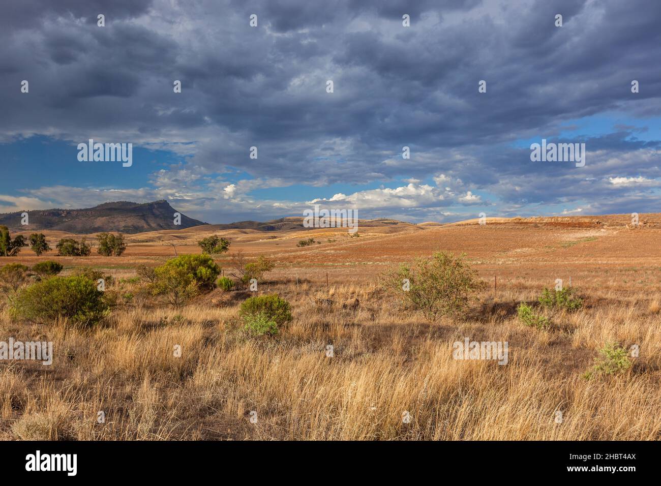 Landschaft des Dutchmans Stern Conservation Park in der Nähe der Stadt Quorn in den Flinders Ranges in Südaustralien mit Blick über die Hügel in Richtung Du Stockfoto