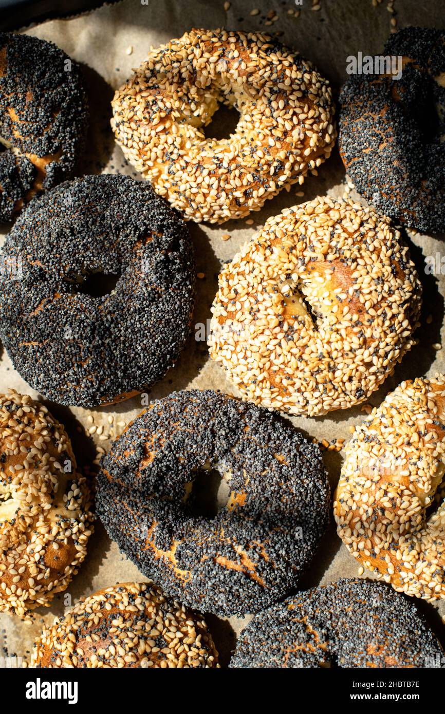 Frisch gebackene Sesam- und Mohn-Bagels. Nahaufnahme. Stockfoto