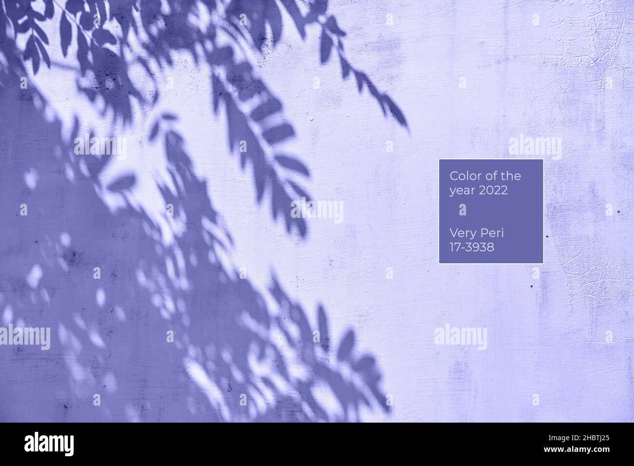 Brombeeren auf violettem Hintergrund. Farbe des Jahres 2022, selektiver Fokus Stockfoto