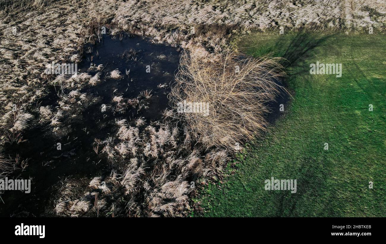 An einem windigen Herbsttag bläst der Wind durch den Baum, wodurch das Wasser gefriert. Stockfoto