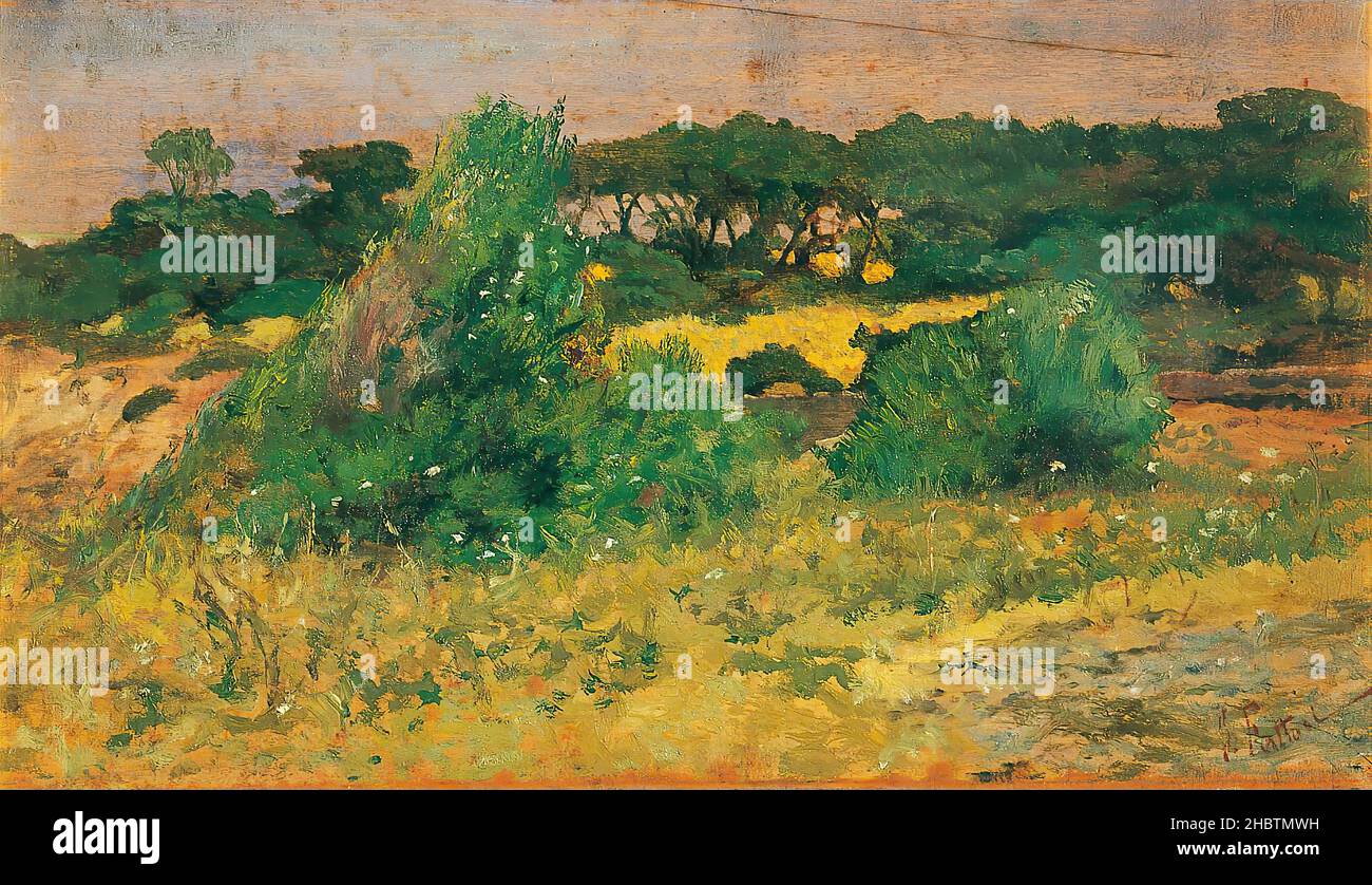 In Tombolo - 1900 08 - Öl auf Holz 19 x 32,5 cm - 01Fattori Giovanni Stockfoto