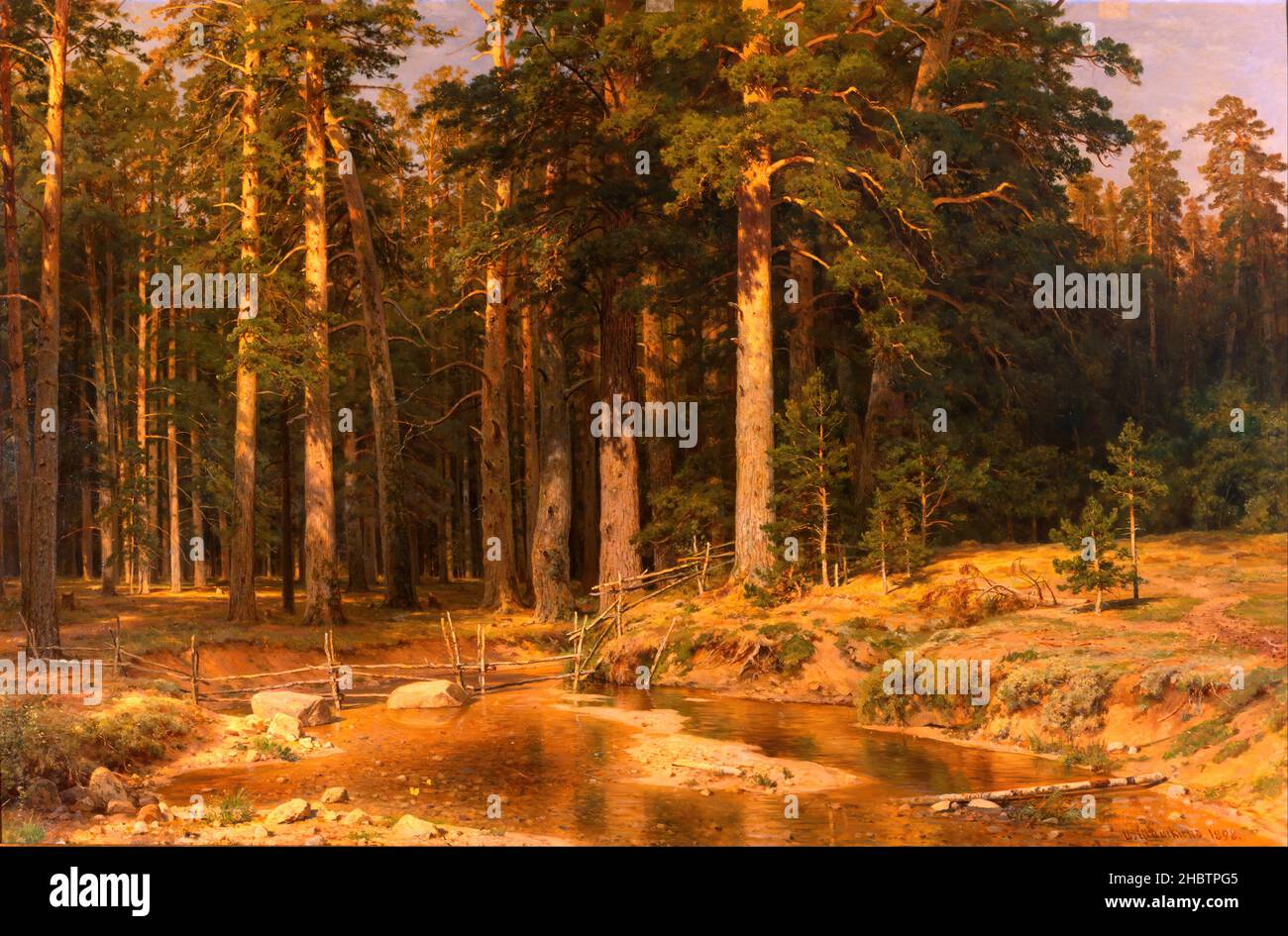 Ivan Shishkin - Mast-Tree grove Stockfoto