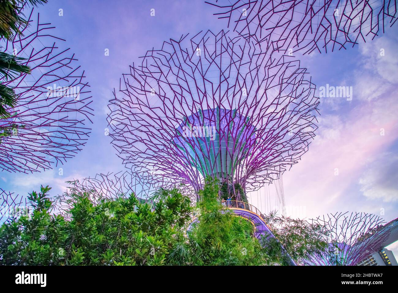 SINGAPUR - 1st. JANUAR 2020: Supertrees at Gardens by the Bay. Die Baumstrukturen sind mit Umwelttechnologien ausgestattet Stockfoto