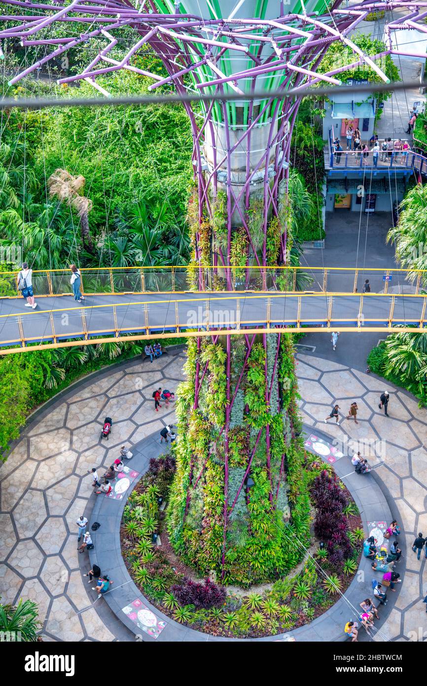 SINGAPUR - 1st. JANUAR 2020: Supertrees at Gardens by the Bay. Die Baumstrukturen sind mit Umwelttechnologien ausgestattet Stockfoto